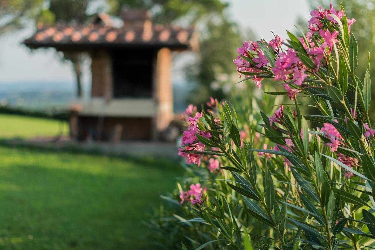 Agriturismo Streda Wine & Country Holiday Vinci Exterior photo